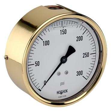 NOSHOK Inc40-310-6000-PSI-CBU-BT3